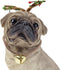 4" Cream Brown And Gold Polyresin Dog Christmas Figurine