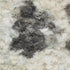 8' X 10' Green Floral Distressed Area Rug