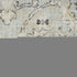 8' Black Mint Green And Ivory Floral Distressed Runner Rug