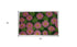 18" X 30" Pink and Green Coir Floral Outdoor Spring Door Mat