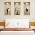 Set of Three Apa Faux Niche 3D Peel and Stick Wall Decals