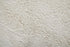 9' X 12' Ivory Shag Hand Tufted Area Rug