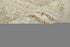 8' X 12' Ivory Tan and Gray Wool Floral Hand Knotted Area Rug