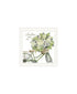 Set Of Two Get on Your Bike and Scatter Your Joy White Framed Wall Art