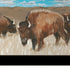 Set Of Two "The Boss of the Bison Herd" Black Framed Wall Art