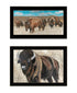 Set Of Two "The Boss of the Bison Herd" Black Framed Wall Art