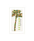 Set Of Two "Beach And Summer Breeze- Take Me There" White Framed Wall Art