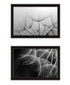 Set Of Two "Delicate Beauty and Love" Black Framed Wall Art