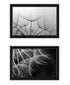 Set Of Two "Delicate Beauty and Love" Black Framed Wall Art