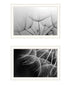 Set Of Two "Delicate Beauty and Love" Black Framed Wall Art