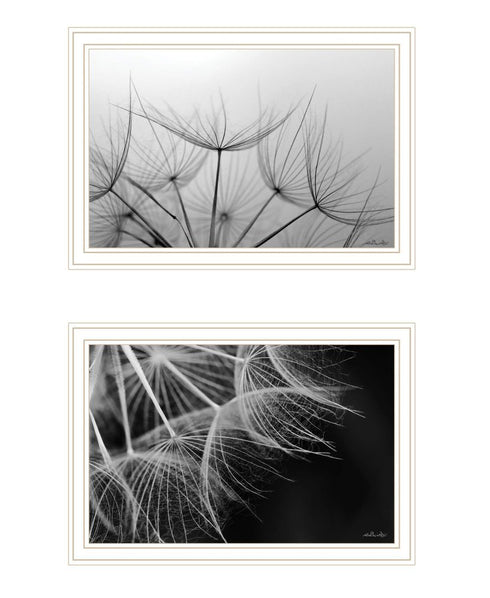 Set Of Two "Delicate Beauty and Love" Black Framed Wall Art