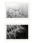 Set Of Two "Delicate Beauty and Love" Black Framed Wall Art