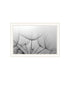Set Of Two "Delicate Beauty and Love" Black Framed Wall Art