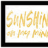 Set Of Two Fun in the Sun-Sunshine on my Mind Black Framed Wall Art