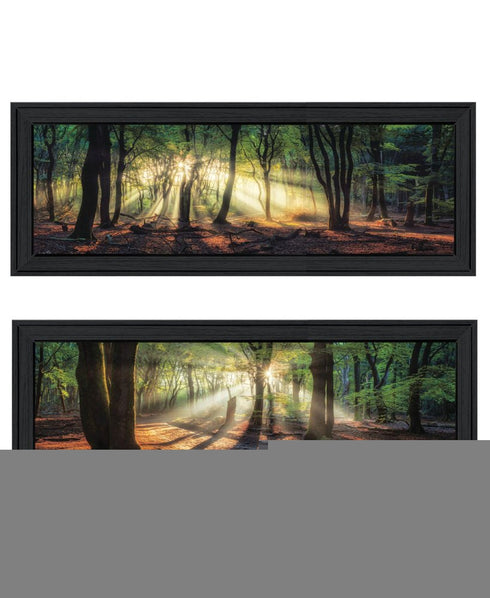 Set Of Two Sun Rays in the Forest Black Framed Wall Art
