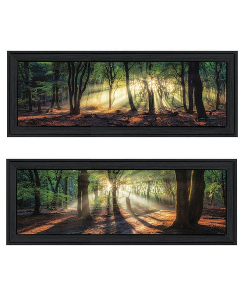 Set Of Two Sun Rays in the Forest Black Framed Wall Art