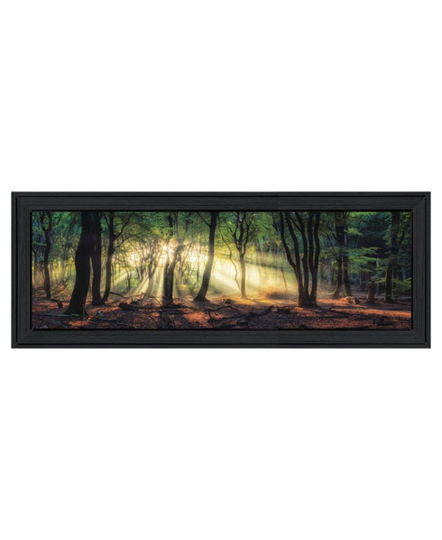 Set Of Two Sun Rays in the Forest Black Framed Wall Art