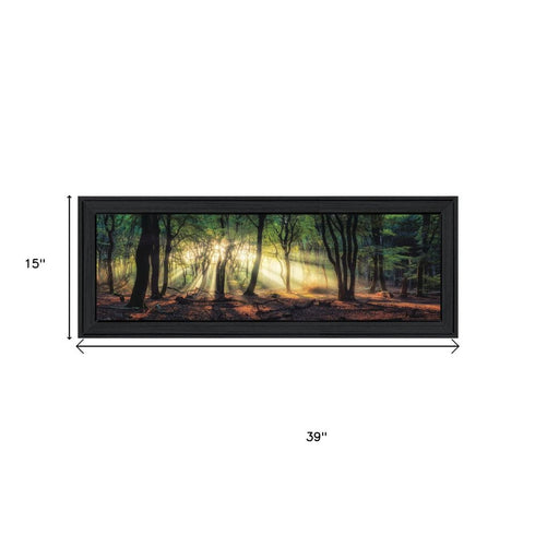Set Of Two Sun Rays in the Forest Black Framed Wall Art