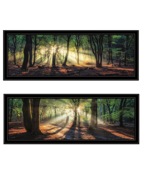 Set Of Two Sun Rays in the Forest Black Framed Wall Art