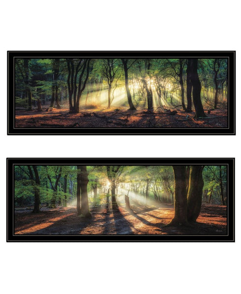 Set Of Two Sun Rays in the Forest Black Framed Wall Art