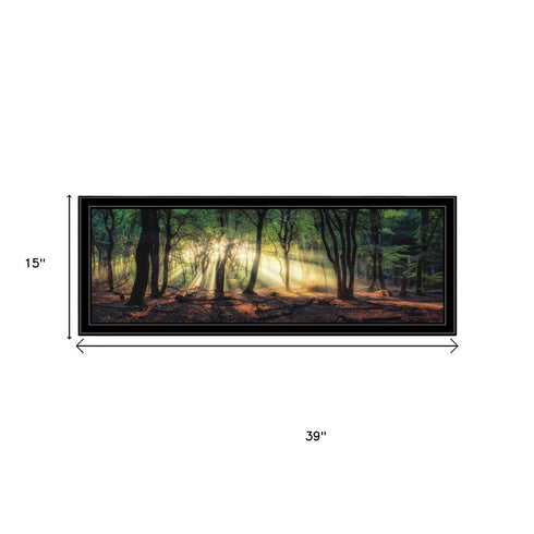 Set Of Two Sun Rays in the Forest Black Framed Wall Art