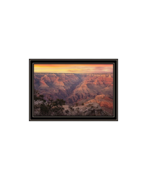 Set Of Two Colors of the Grand Canyon Black Framed Wall Art