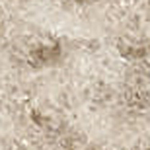 9' X 12' Beige Geometric Area Rug