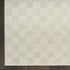 8' X 10' Ivory Checkered Area Rug