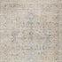 7' X 10' Gray Floral Distressed Area Rug