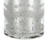 25" Antiqued Silver Floral Glass Bottle Table Vase