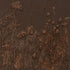 Serenity Garden II Brown Shadowbox Textual Art Wall Art