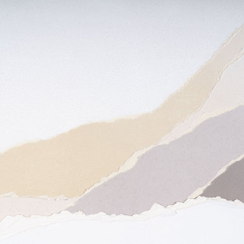 Veiled Vista II Gray Shadowbox Textual Art Wall Art