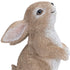 Set of Four Beige Polyresin Figurine Tabletop Sculpture