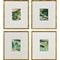 Set Of Four Verdant Fusion Gold Framed Wall Art