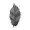 Brattea 16" X 9" Green Leaf Metal Hanging Dimensional Sculpture