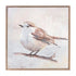 Set Of Two Bird Natural Framed Wall Art