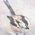 Set Of Two Bird Natural Framed Wall Art