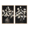 Set Of Two Eucalyptus Natural Framed Wall Art
