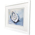 Mollusk II White Framed Wall Art