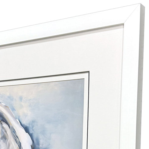 Mollusk II White Framed Wall Art