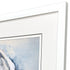 Mollusk II White Framed Wall Art