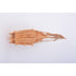 11" Unfinished Wood Hand Painted Model Boat