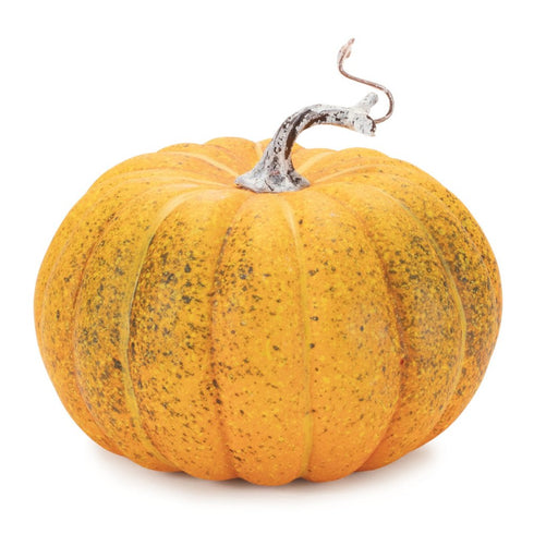 Set of Two Orange And Green Plastic Pumpkin Thanksgiving Pumpkin Tabletop Sculpture