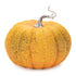 Set of Two Orange And Green Plastic Pumpkin Thanksgiving Pumpkin Tabletop Sculpture