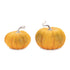 Set of Two Orange And Green Plastic Pumpkin Thanksgiving Pumpkin Tabletop Sculpture