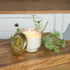 4" White Currant Scented Two Wick Candle In Clear And Gold Glass Holder