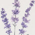 32" X 12" Natural White And Lavender Floral Wood Framed Art