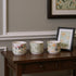 Set of Three Green Pink And White Ceramic 1 Ounce Leaf Round Pot Planters