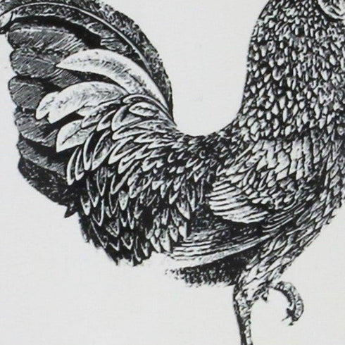 8" Black And White Metal Farm Fresh Chicken Decorative Jug