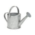 7" Gray Galvanized Metal Decorative Watering Can